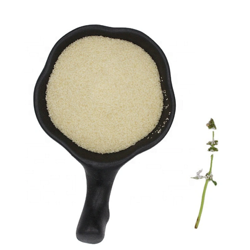 Food Grade Gelatin CAS 9000-70-8 Gelatin Factory in China